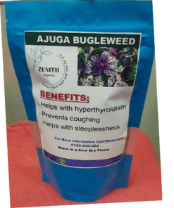 AJUGA BUGLEWEED